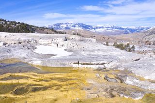 Hot springs in Yellowstone National Park are just one of the types of thermal features that result from volcanic activity.