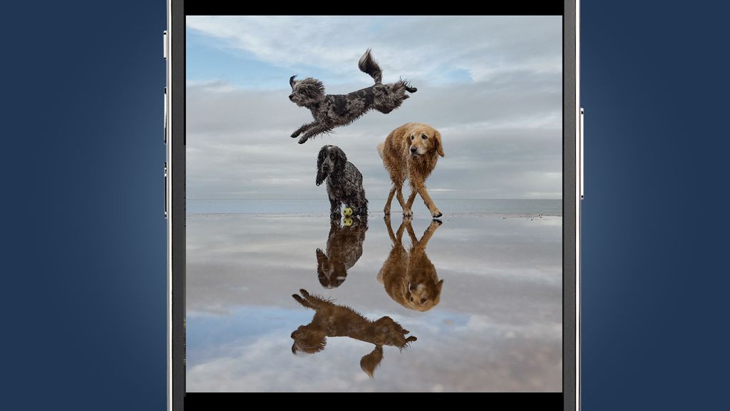 How to take amazing pet and dog photos with your phone (according to