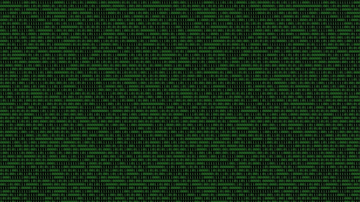 binary_code_cropped.jpg