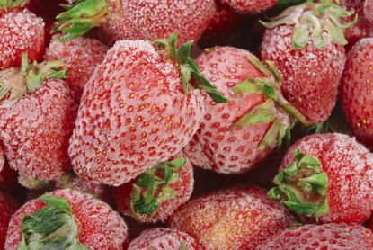 Frozen strawberries may be the culprit. 