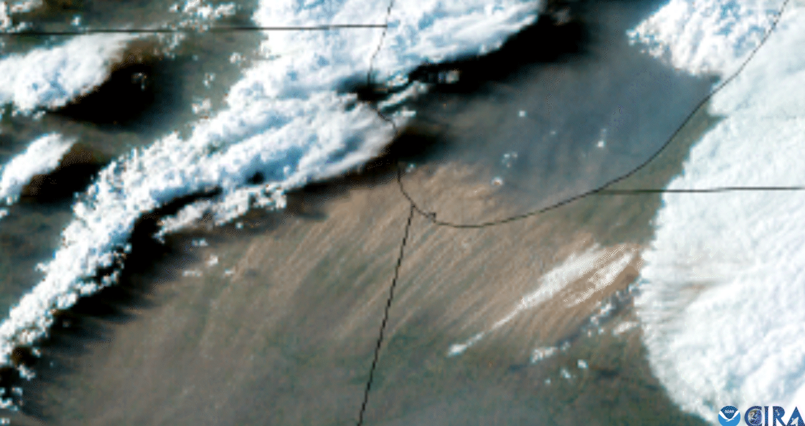blobs of white over a green and brown background