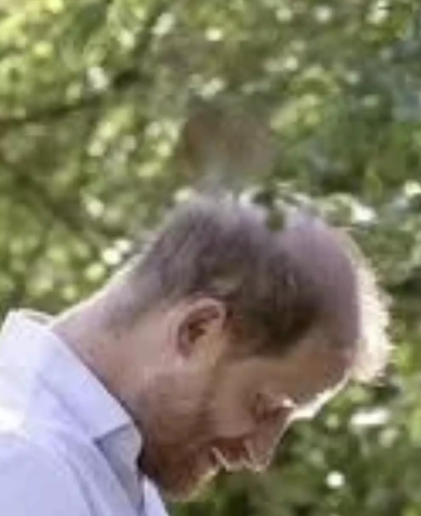 Harry and Meghan Christmas card showing the couple and their children which caused suspicions of Photoshop use