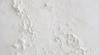 Paint on wall bubbling and peeling from moisture