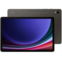 Samsung Galaxy Tab S9 (256GB)