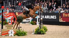 london horse show mini stakes