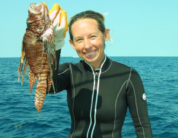 lionfish, invasive species, lionfish derby, pet shops, atlantic ocean, pacific ocean, marine conservation, marine biology, florida, florida keys