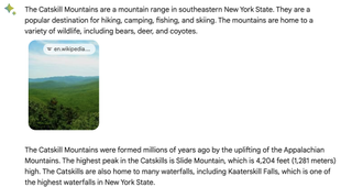 Information from Bard on the Catskill Mountains