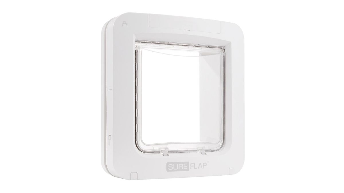 Best microchip cat flap 2024 for you and your kitty's home PetsRadar
