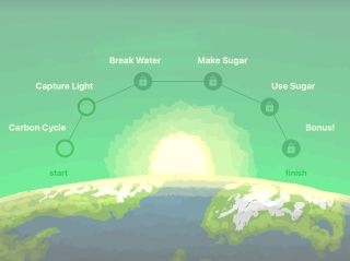 Screenshot showing carbon cycle