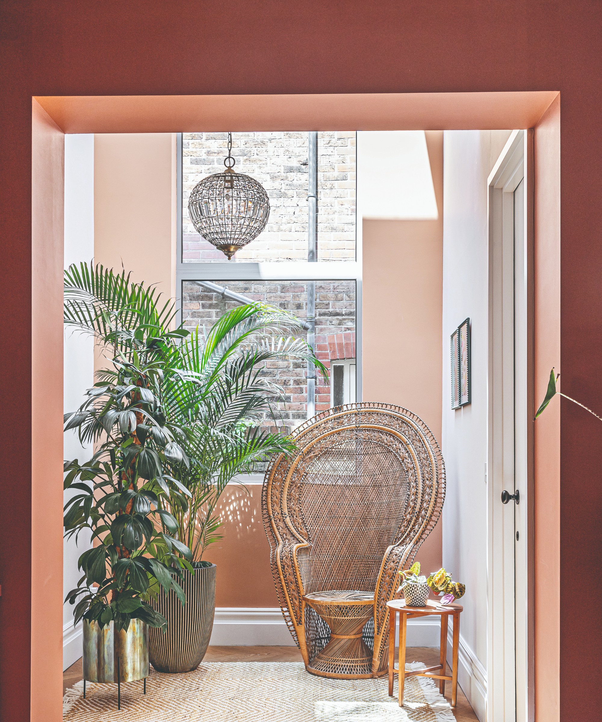 A hallway painted in terracotta with a soft, earthy pink back wall, potted plants and a rattan peacock chair