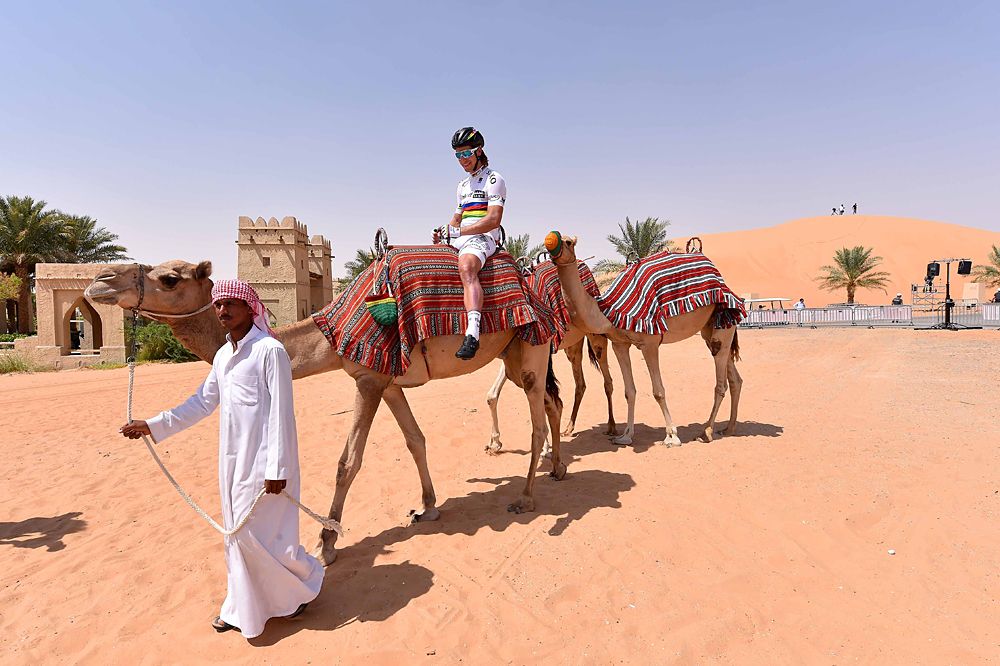 Abu Dhabi Tour