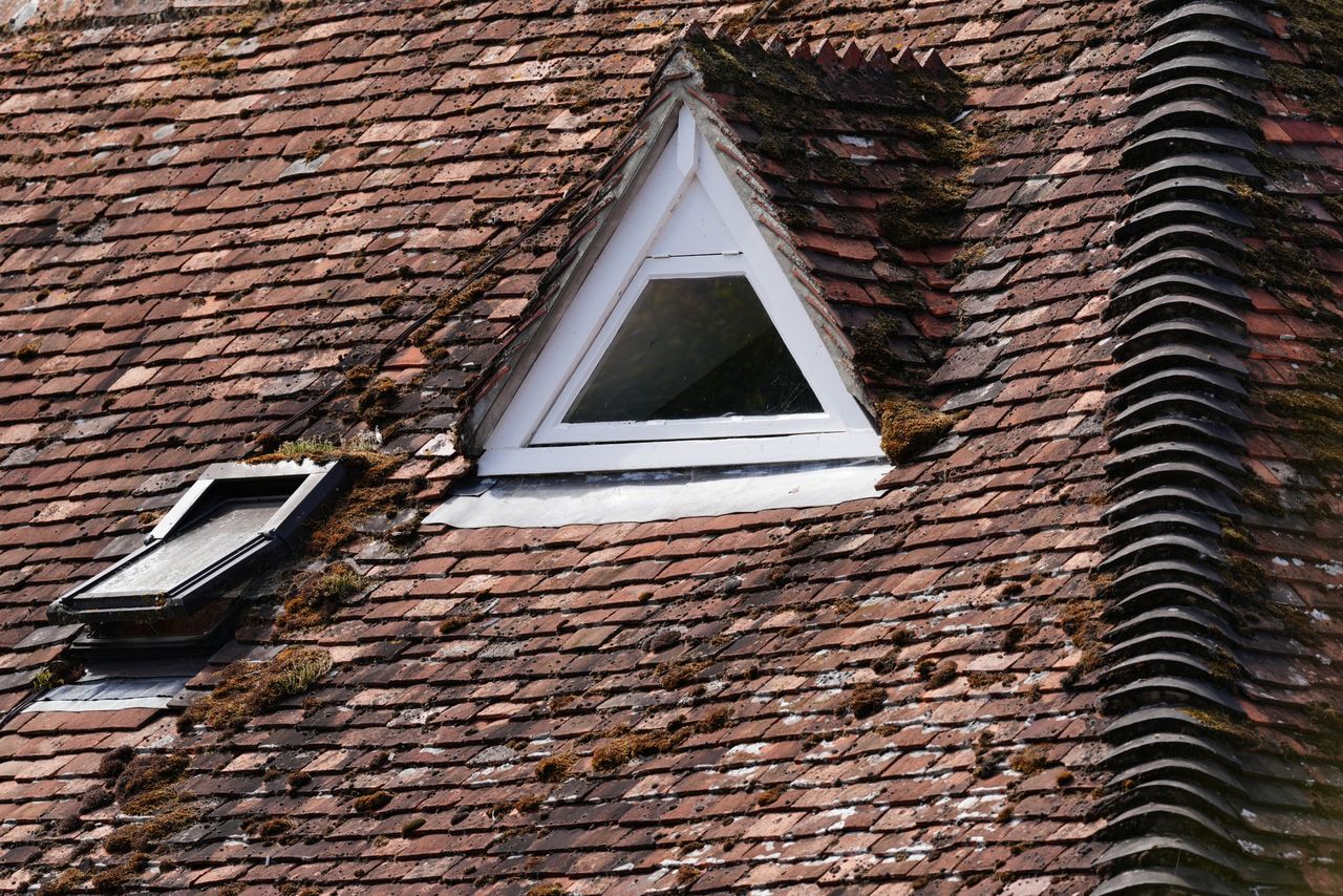 Sony FE 400mm f/4.5 GM OSS sample image