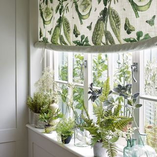 plants in pots and white window with printed curtains