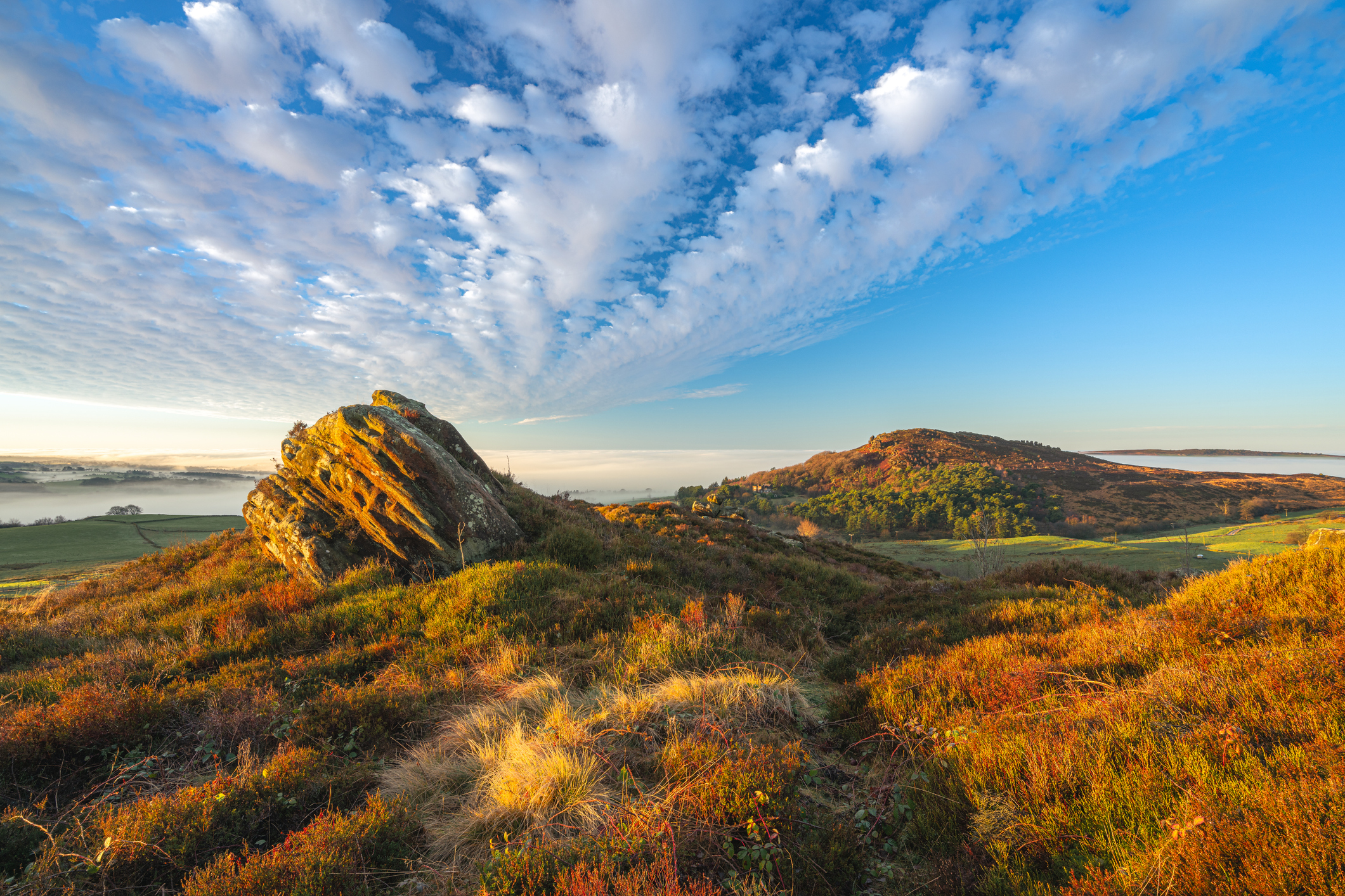 Staffordshire Moorlands