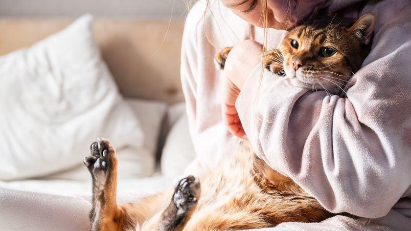 a woman hugs a cat
