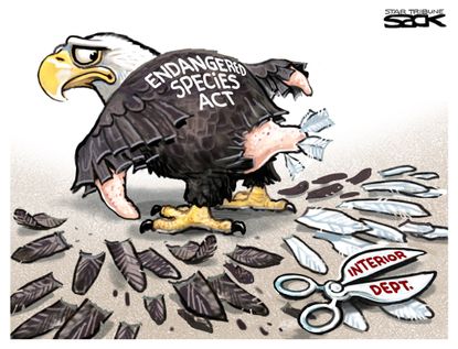 Political Cartoon Endangered Species Act Bald Eagle Interior Department