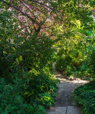 pathway with trees in Liz Christy Community Garden in New York