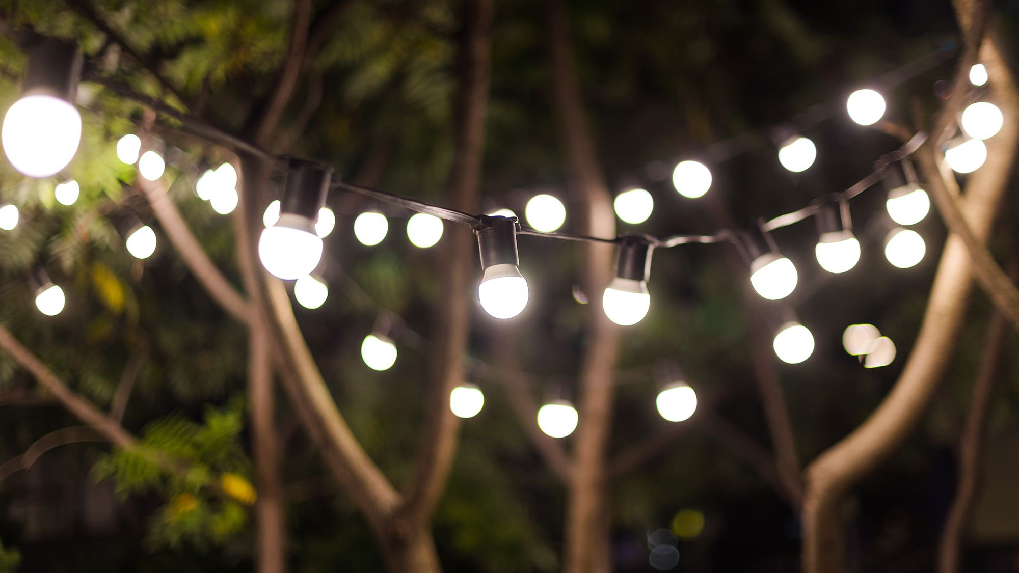 tomsguide.com - Camilla Sharman - The solar-powered garden - embracing the sun to power up your yard