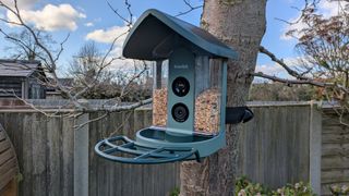 Kiwibit Beako Smart Bird feeder 