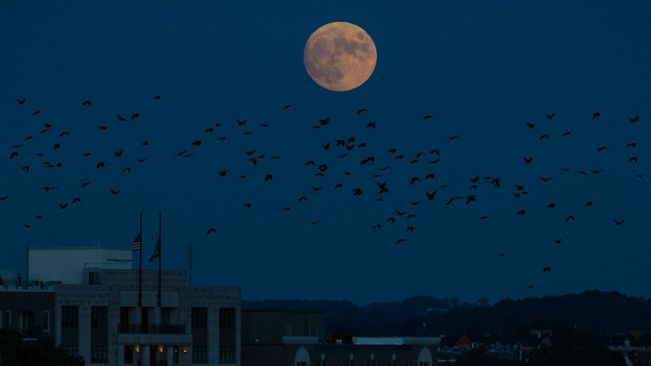The nearly full moon is seen as it rises from The Observatory at America&rsquo;s Square in Washington, Tuesday, Oct. 19, 2021.