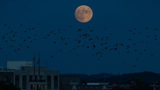 The nearly full Hunter's Moon rises from The Observatory at America’s Square in Washington, on Oct. 19, 2021.