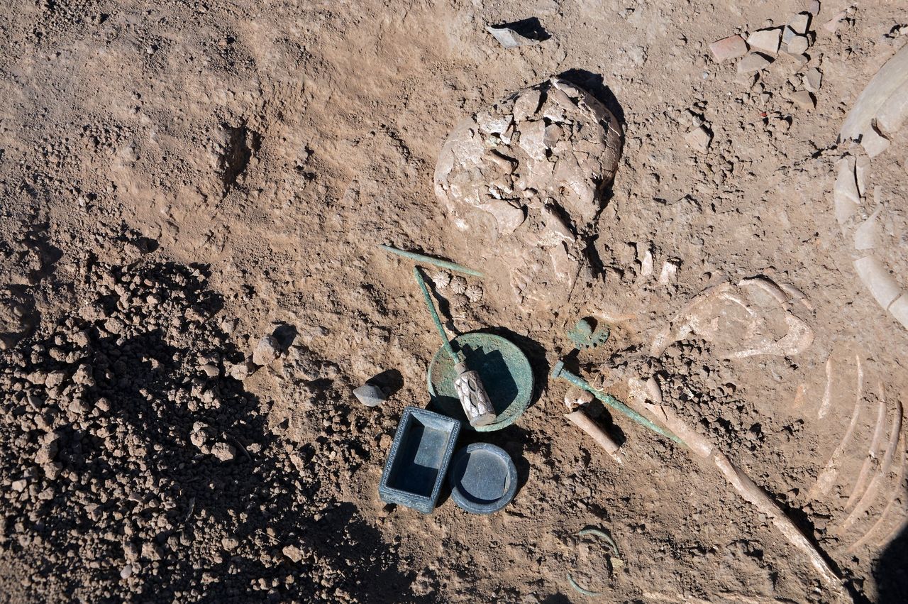 a close-up of an excavated grave with a human skeleton in the dirt