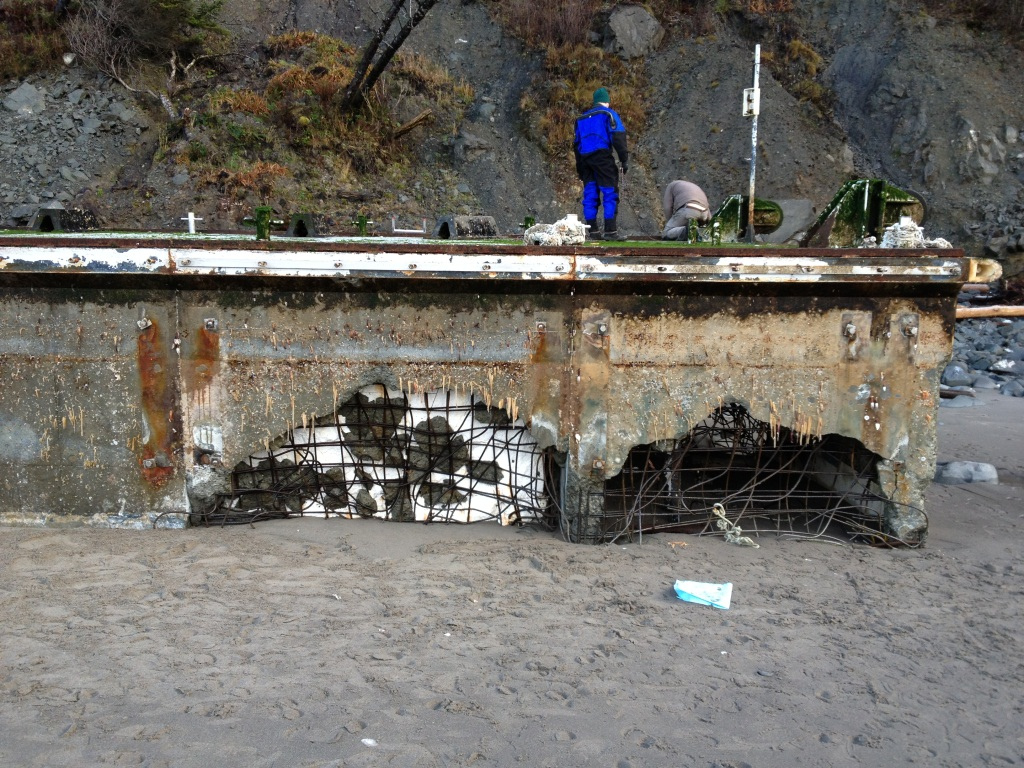 Japan tsunami dock