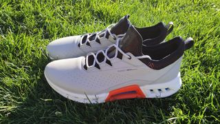a photo of the ecco golf shoes