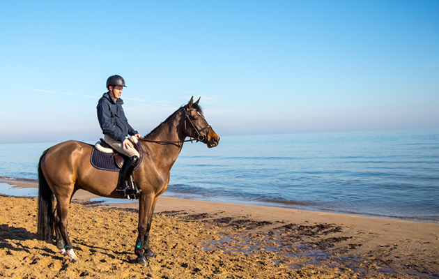 Scott Brash beach-3