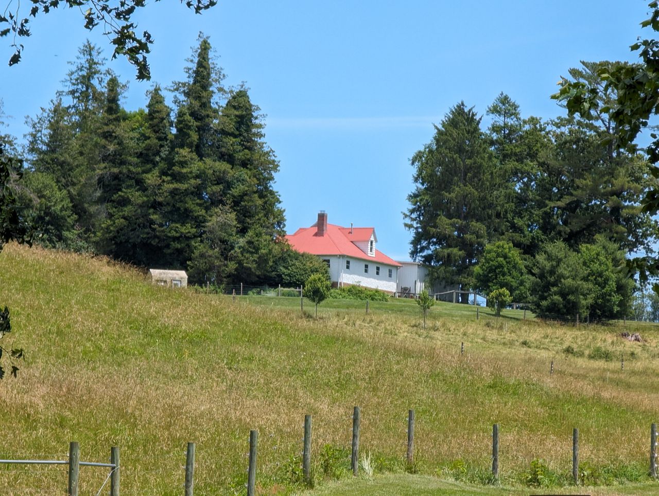 A 10x zoom camera sample from the Google Pixel 8 Pro