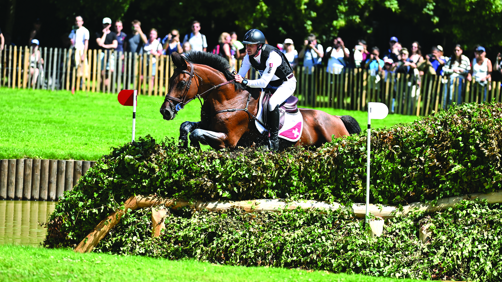 Robin Godel and Grandeur De Lully CH jump a brush fence in water at the Paris Olympics 
