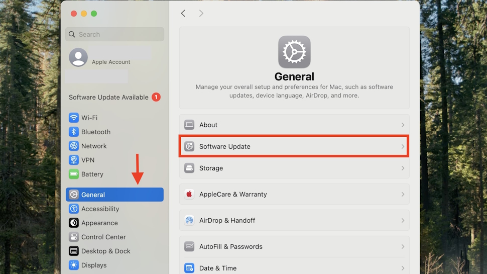 How to access the Software Update page on macOS