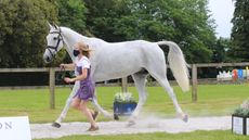 Bicton Horse Trials first trot-up: Eliza Stoddart and Renaissance Man