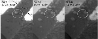 Phoenix Mars Lander Found Liquid Water, Some Scientists Think