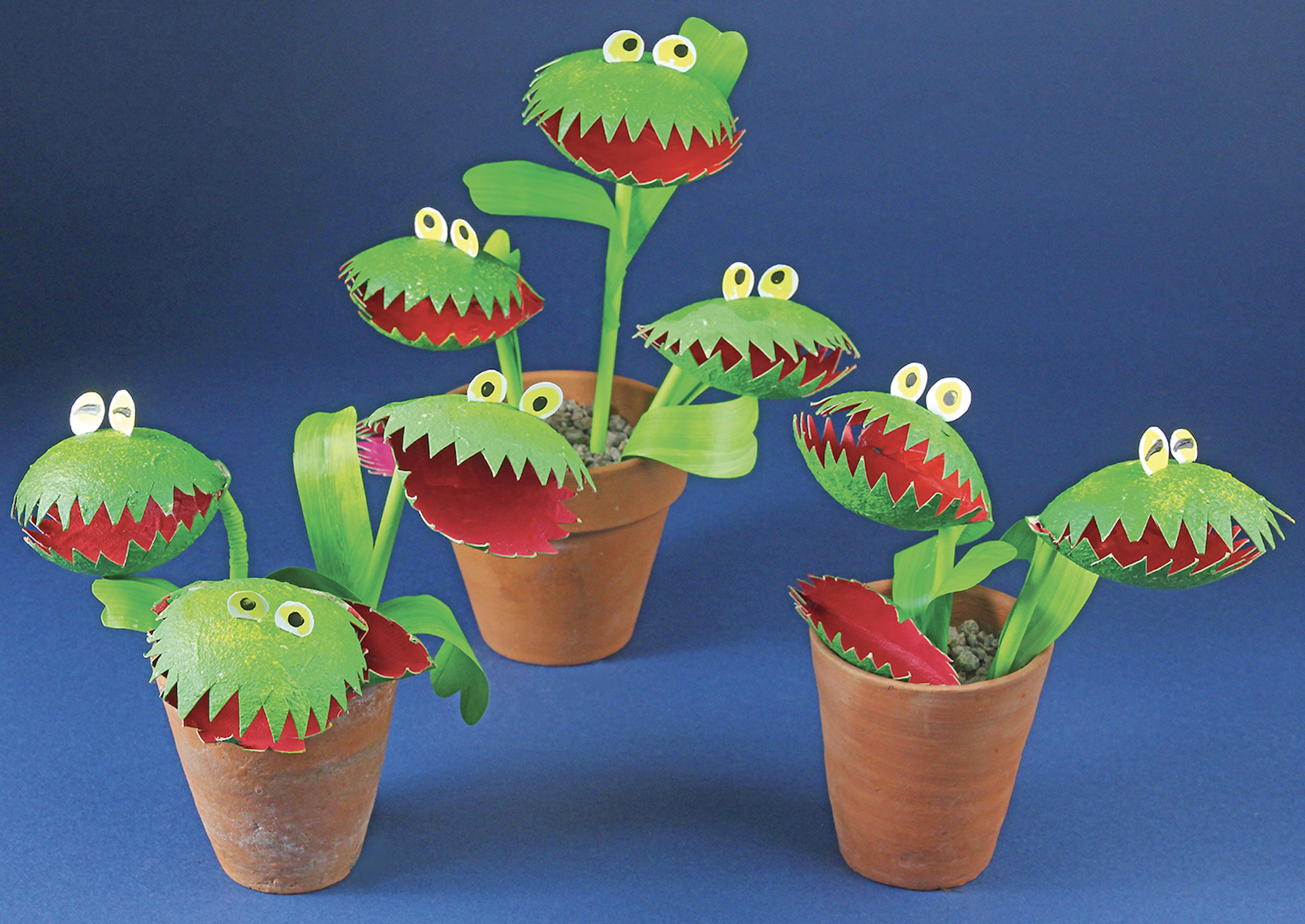 Venus flytrap friends