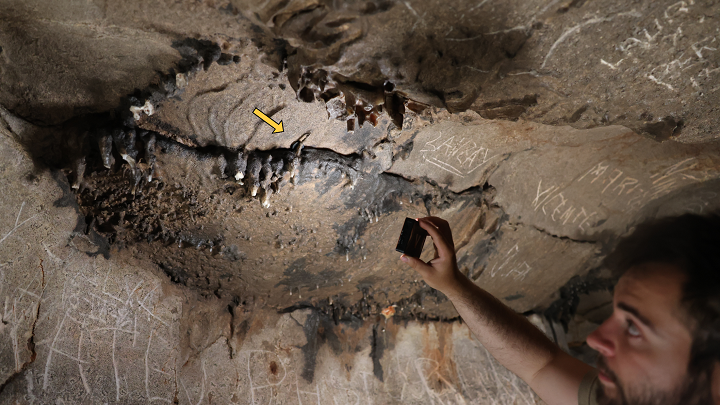 A researcher points to a fissure in the ceiling of a cave in Spain that held a Roman coin.