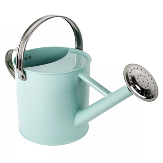 Homarden Metal Watering Can from Target