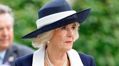 Queen Camilla has canceled all of her royal engagements this week as she sends her apologies to those she is cancelling on