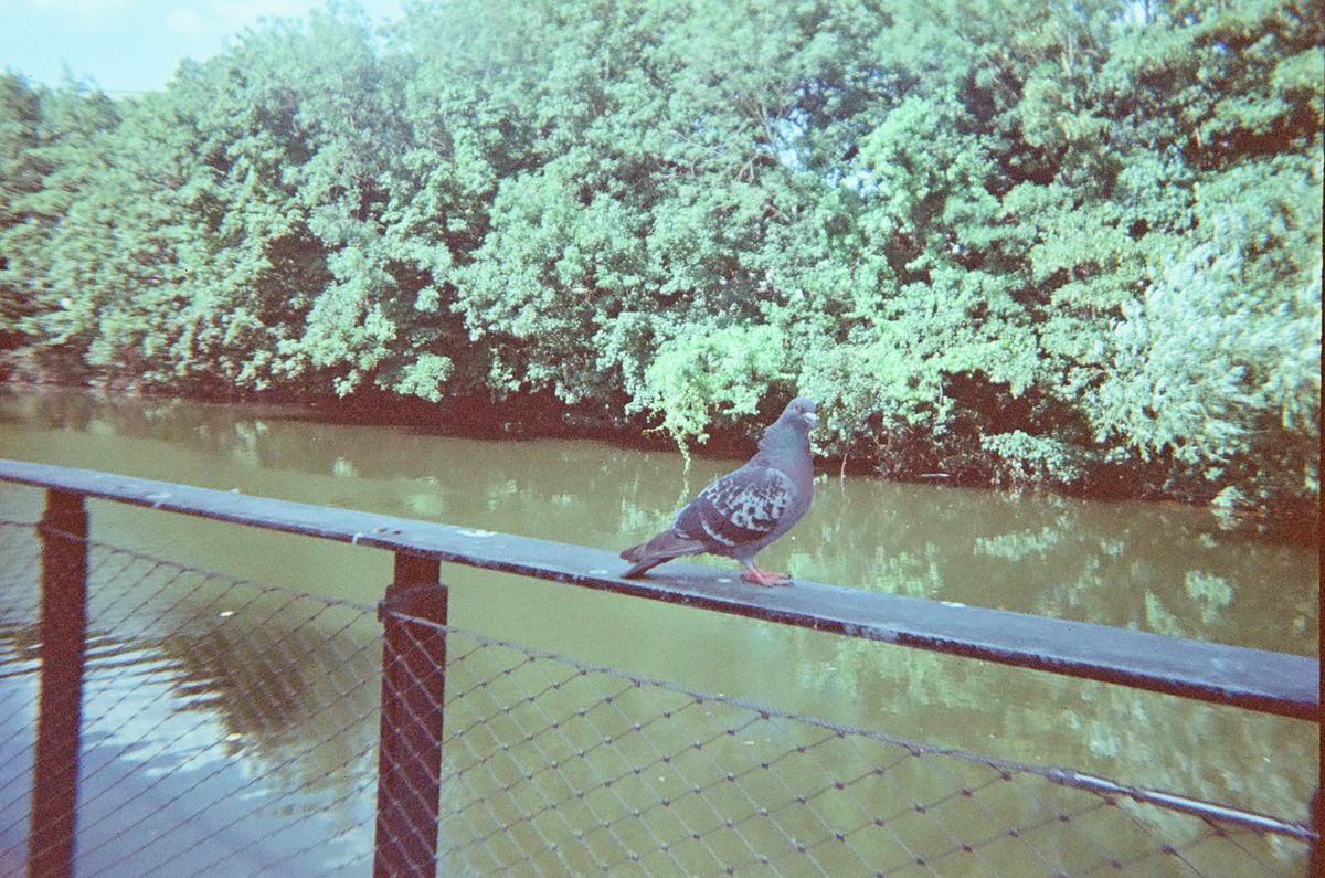 A photo taken on a Lomography Simple Use Reloadable Film Camera Classicolor film camera