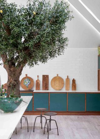 how to bring the outdoors in with a tree indoors
