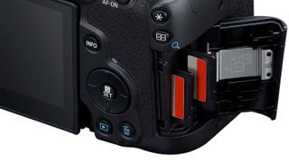 Canon EOS R10 vs EOS R7