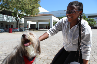 An MSD student plays with a therapy dog