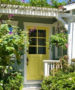 Yellow door with guttering above and bushes to sides