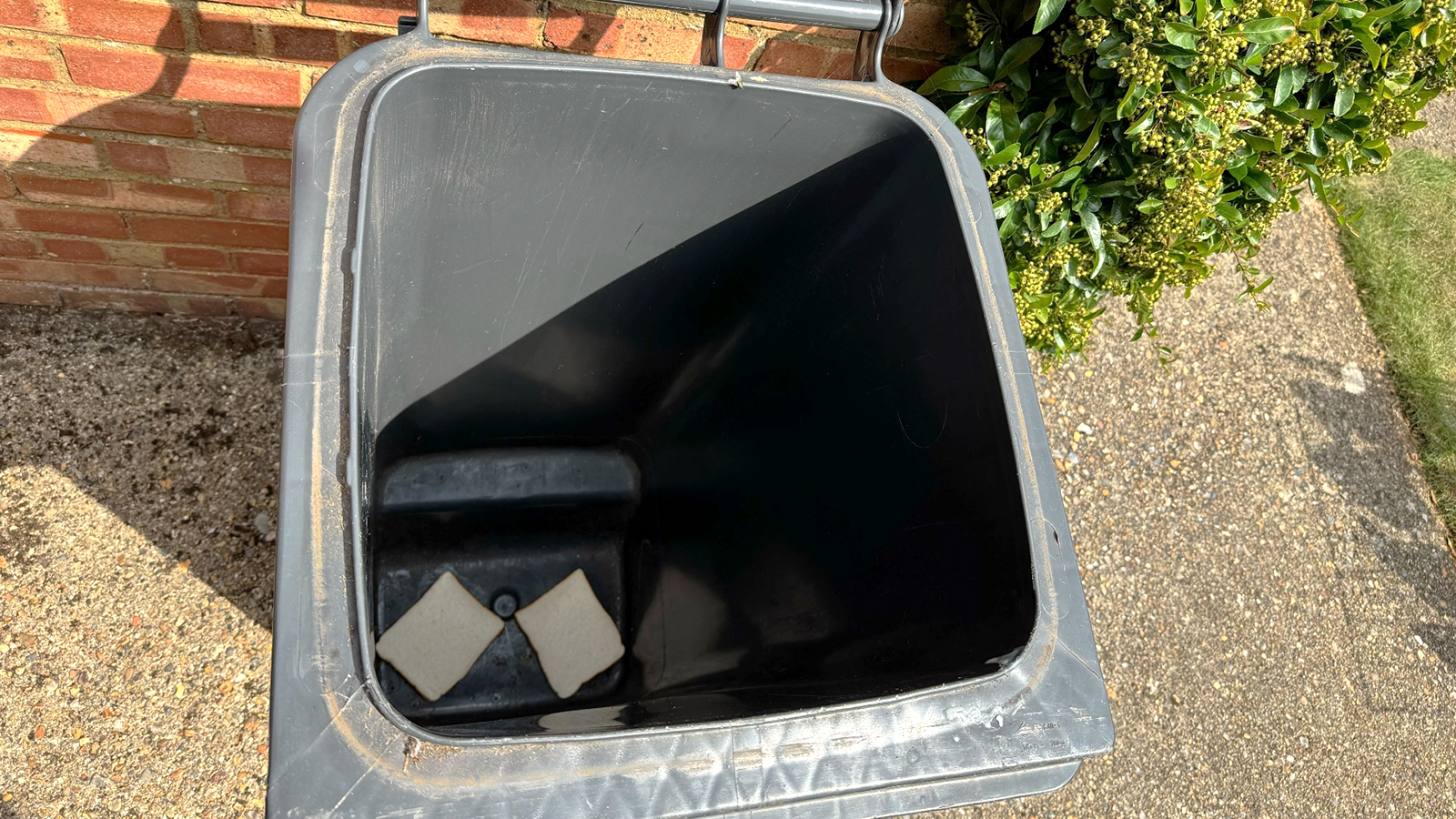 Bread in a bin
