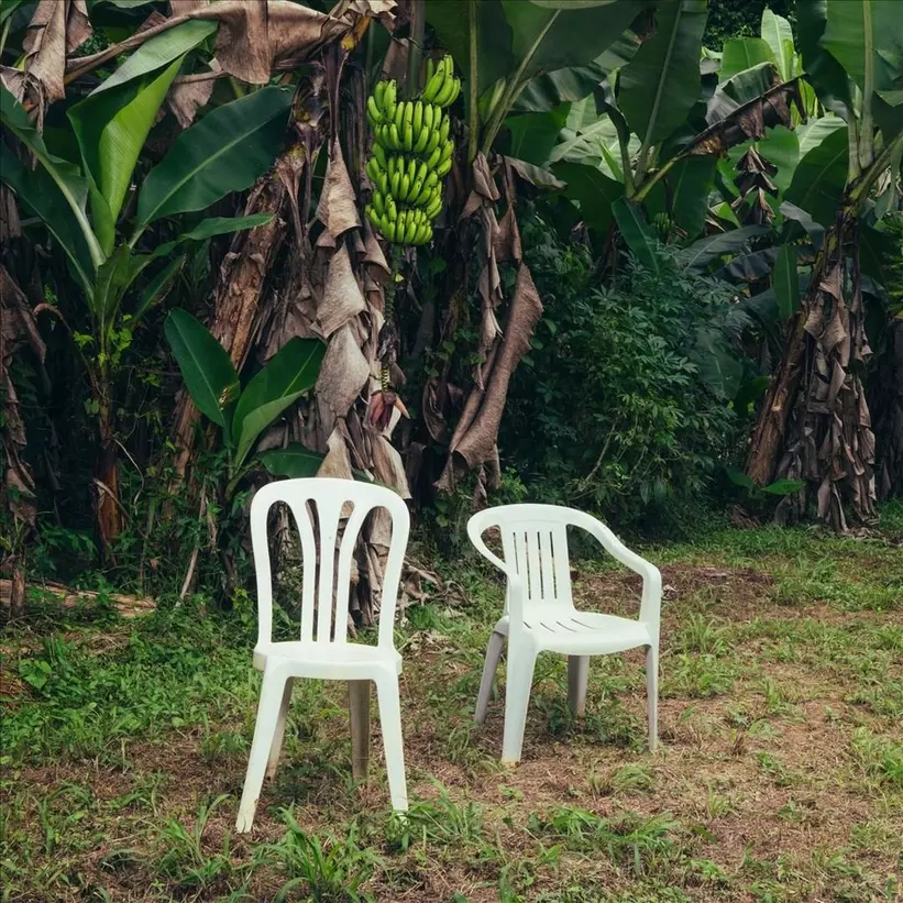 the monobloc chair, as pictured on the cover of bad bunny's album Deb&amp;iacute; Tirar M&amp;aacute;s Fotos