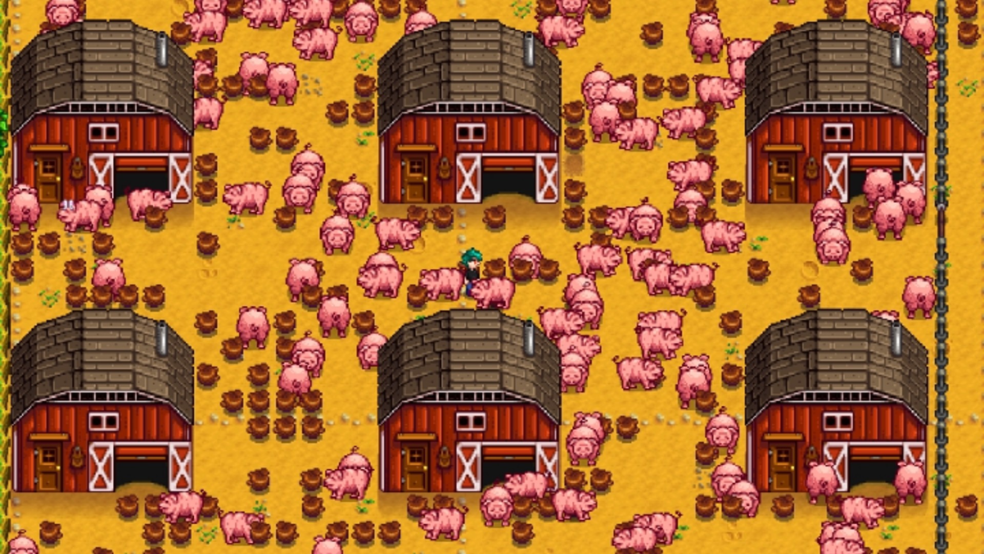 pig farming set up