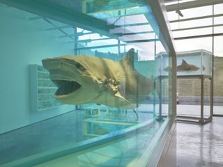 Damien Hirst shark