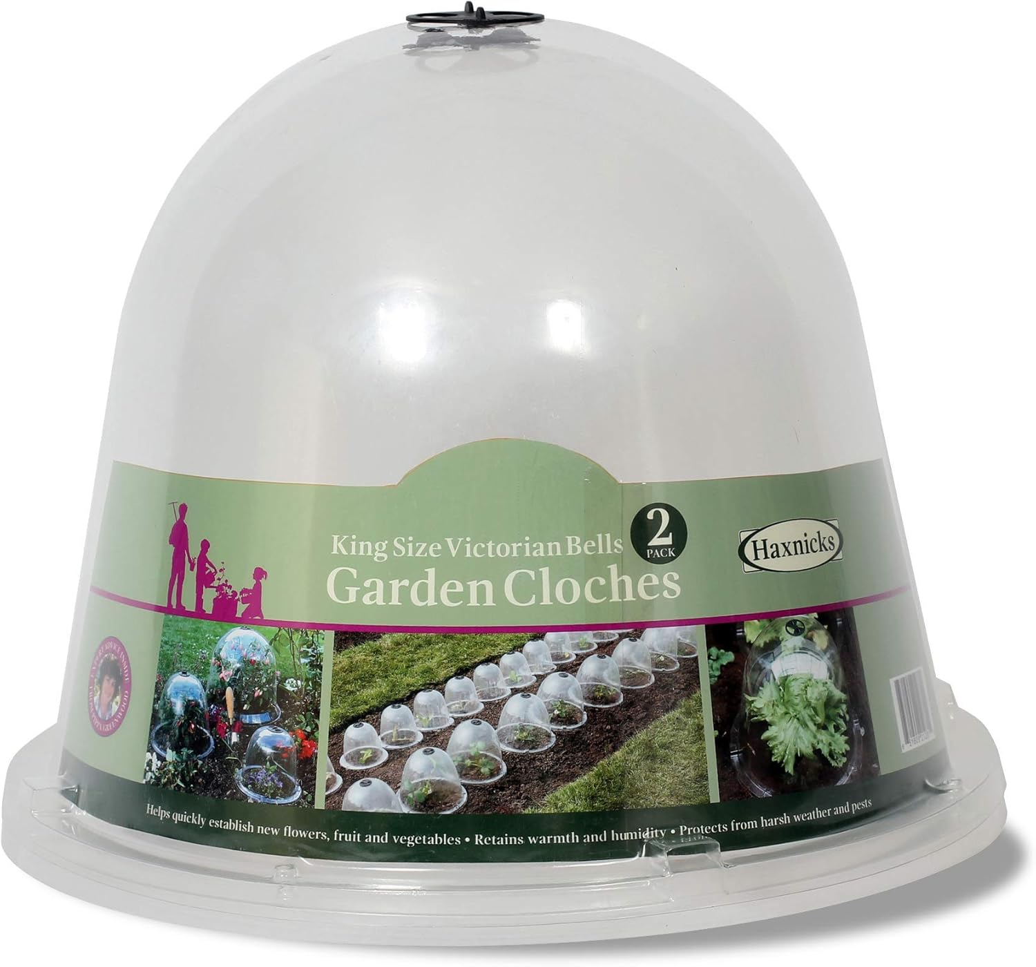 Haxnicks 2 X King Size Victorian Bell Garden Cloche Plant Protection | Growing Vegetable | Specimen Plants | Transparent, 31 X 40 Cm Bell090101 | 2 Count (pack of 1) : Amazon.co.uk: Garden