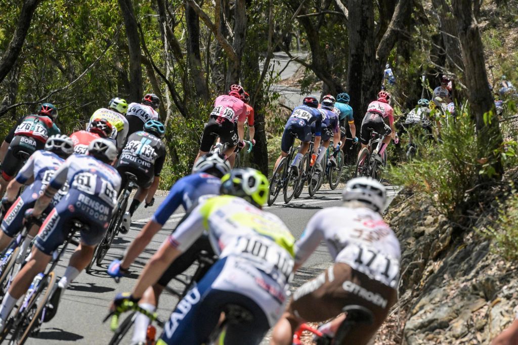 Tour Down Under 2024 start list BVM Sports