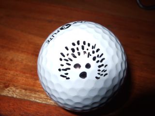 Michael Sharpe, Sharpie golf ball marker competition